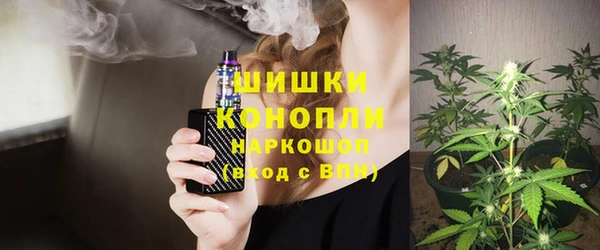 спайс Алзамай